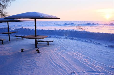 Beautiful Beach In The Winter Snow Stock Photo Image Of Footprint