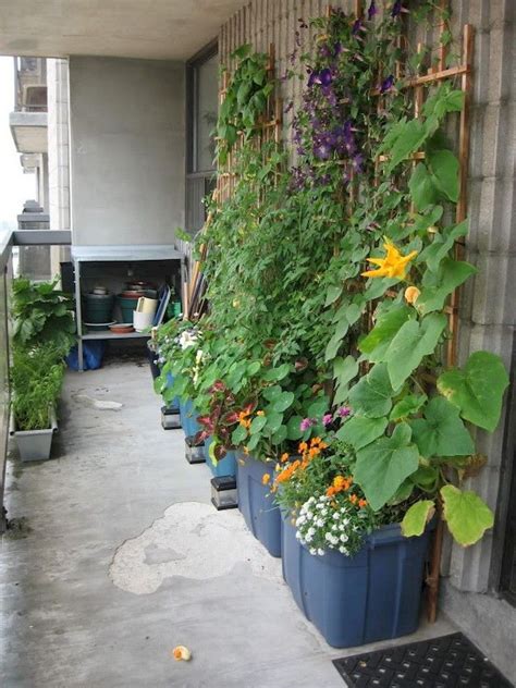 85 Lovely Diy Small Patio Garden Decorating Ideas Container