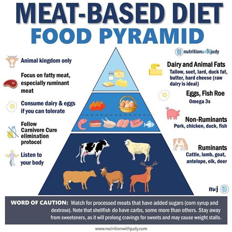 Microblog Meat Based Diet The Food Pyramid Nutrition With Judy
