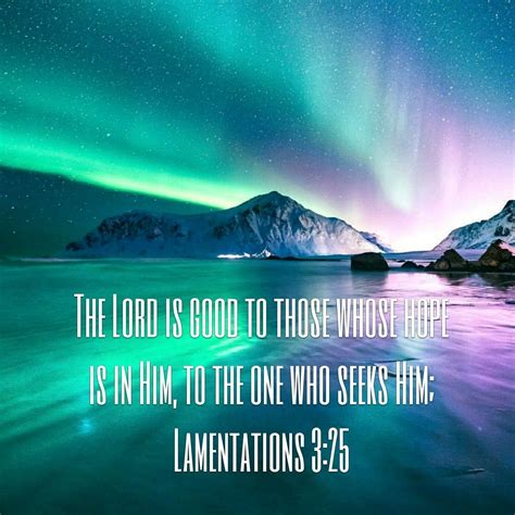 the lord is good to those whose hope is in him to the one who seeks him lamentations 3 25