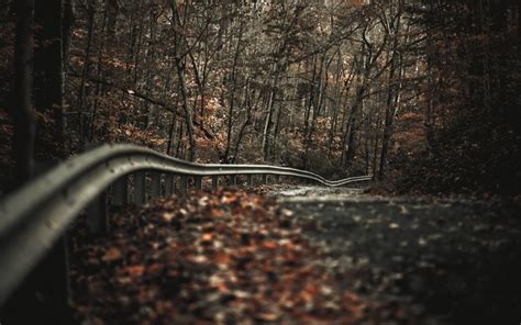 Road Trees Fall Landscape Depth Of Field Fence Nature Wallpaper