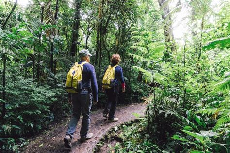 Premium Photo Couple Hiking Through A Jungle