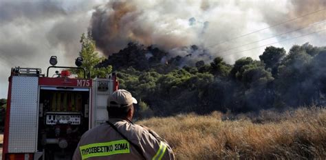 Jun 15, 2021 · σεισμός τώρα στη κρήτη. ΣΕΙΣΜΟΣ ΤΩΡΑ ΚΡΗΤΗ - ΕΚΚΛΗΣΙΑ ONLINE