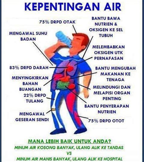 Air bisa diakui sebagai air minum yang layak untuk kesehatan jika memenuhi syarat fisik, mikrobiologis, dan kimia berikut. (KESIHATAN) Kelebihan Minum Air Masak Semasa Perut Kosong ...