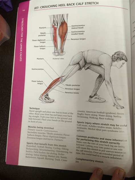 Pin By Kat On Stretching Book Calf Stretches Peroneus Longus