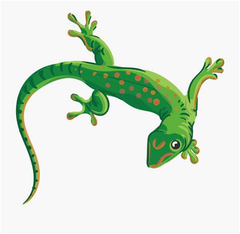Download High Quality Lizard Clipart Reptile Transparent Png Images