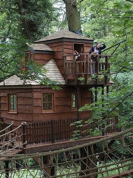 Pin By Brian Aitken On Crazy And Funny Pics Beautiful Tree Houses Tree