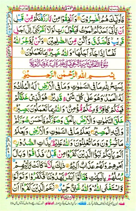 Surah At Taghabun E Online Quran