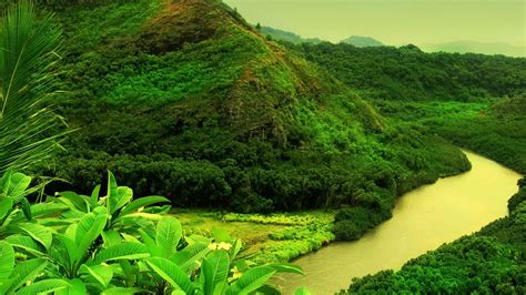 1920x1080 River Mountain Greenery Coolwallpapersme