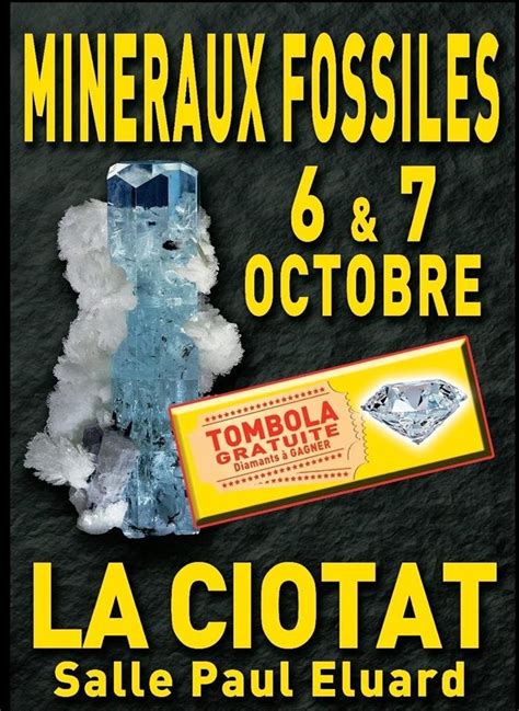 20ème Salon Des Minéraux Fossiles Bijoux Et Météorites De La Ciotat