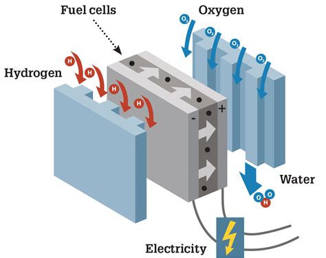 According to a recent report by mckinsey, hydrogen and fuel cell technology has the potential to remove six gigatons of carbon dioxide emissions and employ more than 30 million people. Revolutionary Ceramic Membrane Makes Hydrogen Fuel Cells ...