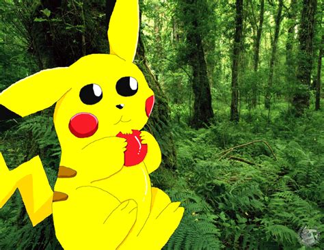 Pikachu In A Forest By Ladysesshy On Deviantart