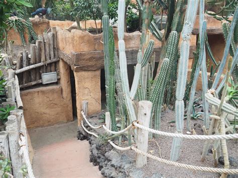 Subterranean Meerkat Viewing Area Former Asian Small Clawed Otter