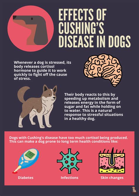 A Comprehensive Guide On Diagnosis And Treatment Of Cushings Disease