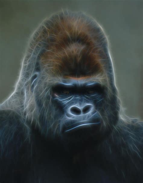 Gorilla Digital Art Digital Art By Ernie Echols Pixels