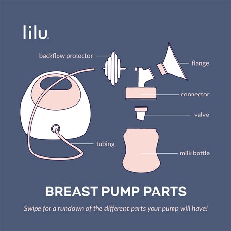 Everything You Need To Know About Breast Pump Parts Lilu