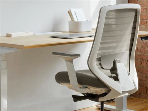 Branch Ergonomic Chair For Offices Offers 7 Points Of Adjustment For
