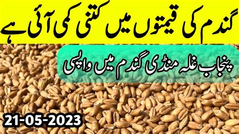 Today Wheat Price In Pakistan Gundam Rate Wheat