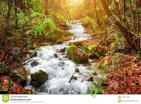 Amazing View Of Mountain River Among Mossy Stones And Fall Woods Stock