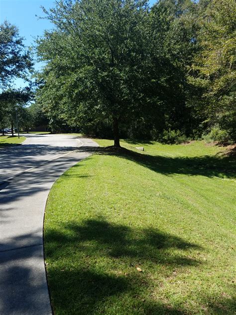 Charleston is a terrific choice for your new apartment. Shady Grove Apartments for Low Income Seniors | 1725 ...