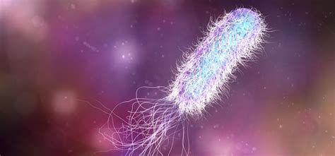 Check spelling or type a new query. Bacterial Scissorhands: Biologists discover bacteria have ...