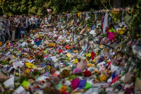 New Zealand Mosque Shootings A Year After Christchurch Massacre