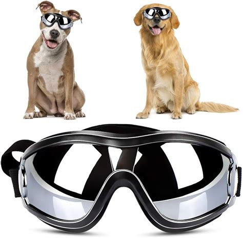 10 Mejores Gafas Protectoras Para Perros Pequeños 2020