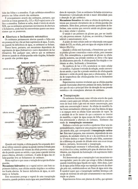 Biologia Para O Vestibular