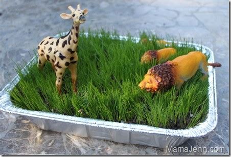 Party Frosting: Zoo/Safari Party Ideas and Inspiration