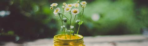 Secondhand sound and lighting equipment. Sips and Sounds @ Penrith Regional Gallery