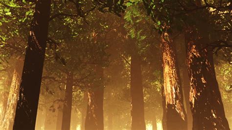 Deep Forest Fairy Tale Scene Fireflies 3d Render Stock Footage Video