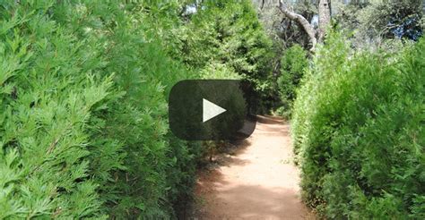Maybe you would like to learn more about one of these? William Heise Campground Map | Living Room Design 2020