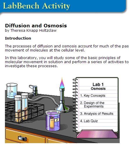 Starch was excluded because it has a larger molecular size than glucose and iodine. Diffusion Osmosis Virtual Lab | Biology labs, Biology ...