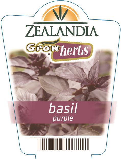 Basil Purple Zealandia Horticulture