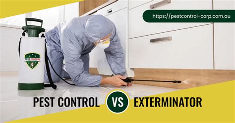 Pest Control Vs Exterminator Which One Is The Best