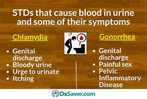 Stds That Cause Blood In Urine Names Treatment And Test Cost