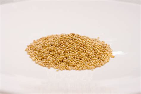 Black Mustard Seed Vs Yellow Mustard Seed Difference And Comparison