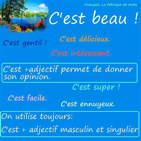 C'EST + ADJECTIF MASCULIN SINGULIER | French vocabulary, Vocabulary ...