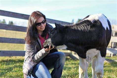 12 Heartwarming Photos That Prove Farm Animals Love Us Artofit