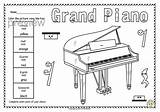Harpsichord Keyboard Anastasiya sketch template