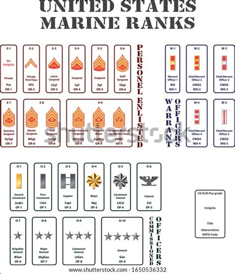 Set Ranks United States Marine Corps Stock Vector Royalty Free 1650536332