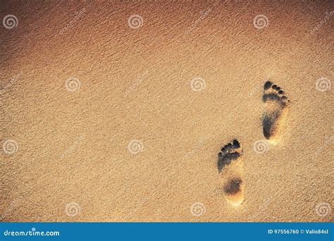 Footsteps Footprints On The Sand Beach Background Stock Photo Image