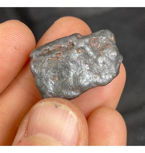 Fossils 6 G Nantan Iron Meteorite