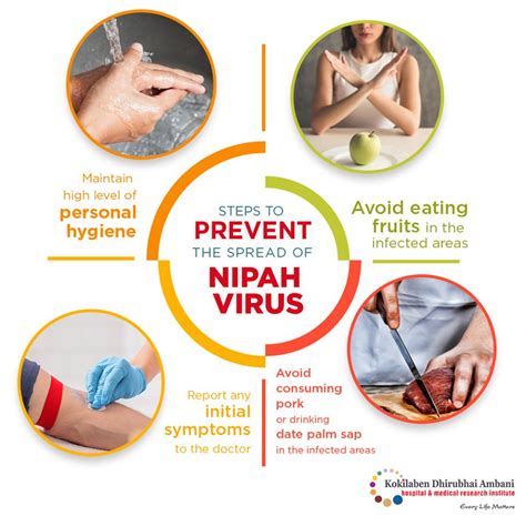 Prevent The Spread Of Nipah Virus Health Tips From Kokilaben Hospital