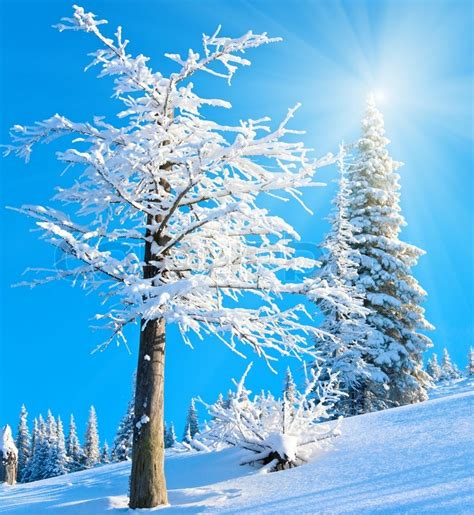 Snowy Sunshine Mountain Landscape Stock Image Colourbox