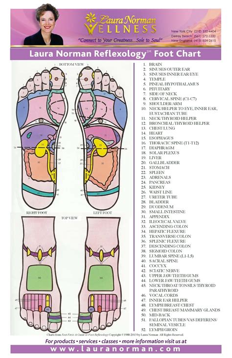 Printable Foot Reflexology Charts Maps Templatelab Reflexology Hand Chart Reflexology