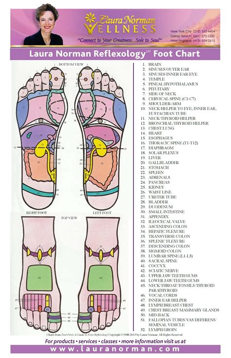 printable foot reflexology chart