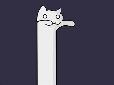 Longcat Blue White Cat Minimalism Wallpapers Hd Desktop And Mobile Backgrounds