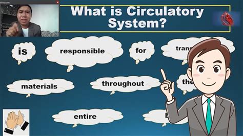 Components Of Circulatory System With Intro Youtube