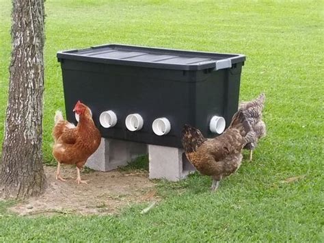 Abreuvoir automatique rainbow pour poulets de chair, poules pondeuses et poulets d'élevage. Mangeoire fait maison pour poule : des idées originales ...